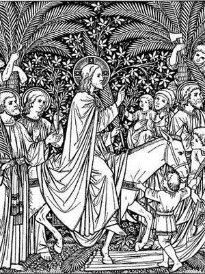 And the King returns (Palm Sunday of the Passion of&nbsp;OLJC)